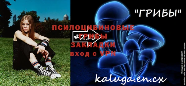 соль курить ск Моршанск