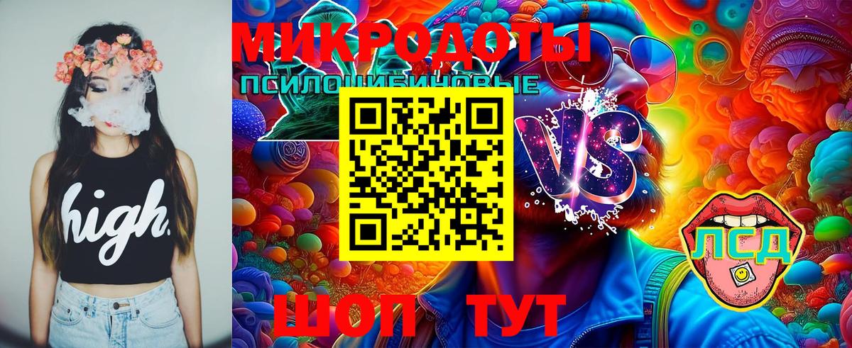 Псилоцибиновые грибы прущие грибы Ставрополь