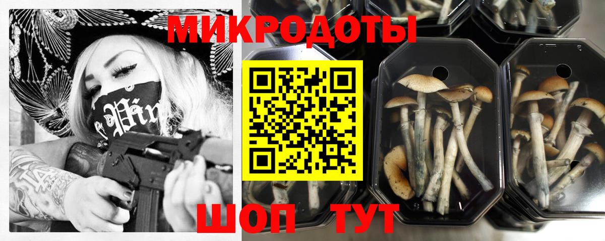 Галлюциногенные грибы GOLDEN TEACHER  Ставрополь  Псилоцибиновые грибы мухоморы 