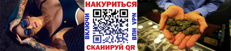 что такое   Ставрополь  Бошки Шишки план 